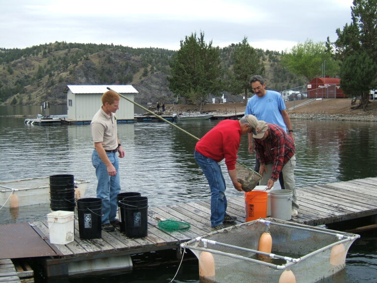2012 05 21 Crappie Collection (6)